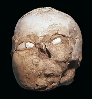 Shell Prints: Skull from Jericho, modelled with plaster and shells