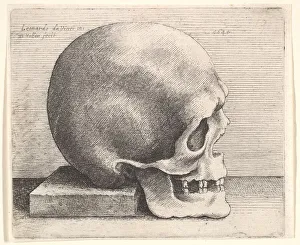 Da Vinci Leonardo Prints: Skull in profile to right, 1645. Creator: Wenceslaus Hollar