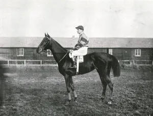British Sports And Sportsmen Collection: Skyscraper, 1911. Creator: Unknown