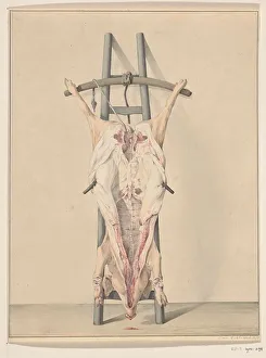 Dead Animal Prints: Slaughtered pig, 1796. Creator: Jean Bernard