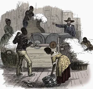 Cotton Prints: Slave labour on a cotton plantation in the southern states of America, 1860