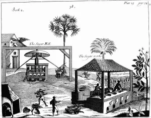 Refinery Prints: Slave labour on a sugar plantation in the West Indies, 1725