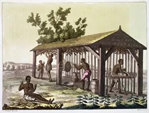 Negro Collection: Slaves preparing tobacco, Virginia, USA. c1790 (c1820-1839). Artist: Angelo Biasioli