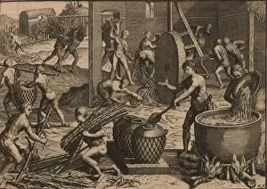 French Colonies Collection: Slaves process sugar cane and make sugar. Creator: Aa, Pieter van der (1659-1733)