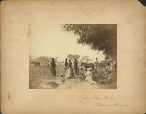 Discrimination Prints: Slaves working in the sweet potato fields on the Hopkinson plantation, 1862