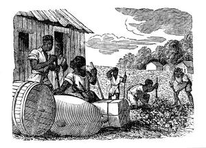 Bale Gallery: Slaves working on a tobacco plantation, 1833