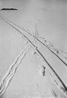 Antarctica Collection: Sledge Track Crossing An Adelie Penguins Track, 8 December 1911, (1913)