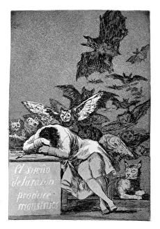 Unrecognisable Prints: The sleep of reason produces monsters, 1799. Artist: Francisco Goya