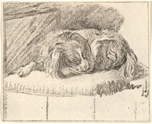 Bench Prints: Sleeping Dog, 1777. Creator: Cornelis Ploos van Amstel