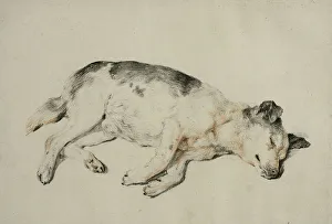 Cornelis Visscher Prints: Sleeping dog. Creator: Cornelis de Visscher