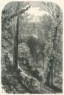 Squirrel Prints: The Slopes, c1870
