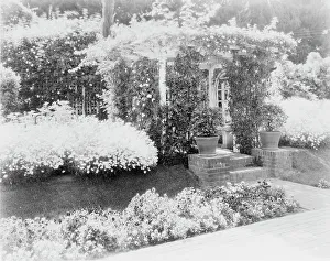Trellis Prints: Small arbor covered with roses