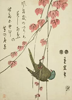 Small bird and ivy, c. 1843 / 47. Creator: Utagawa Hiroshige II