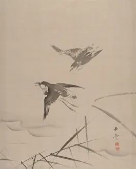 Kawabata Gyokushō Prints: Small Birds and Bamboo, 1887-92. Creator: Gyokusho Kawabata