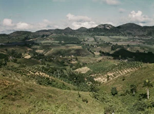 Valley Collection: Small farms in the hills, vicinity of Corozal, Puerto Rico, 1941. Creator: Jack Delano