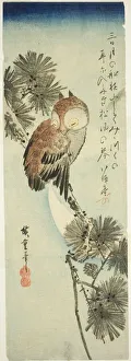 Small-horned owl, pine, and crescent moon, 1830s. Creator: Ando Hiroshige