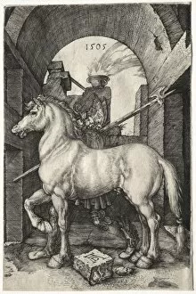 Early 16th Century Gallery: The Small Horse, 1505. Creator: Albrecht Dürer (German, 1471-1528)