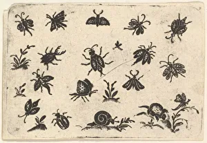 Small Motifs of Insects and Plants, 1596. Creator: Georg Herman Small Motifs of Insects and Plants, 1596. Creator: Georg Herman