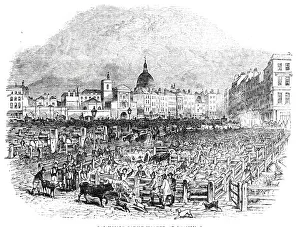 Meat Market Prints: Smithfield Cattle Market, at Christmas, 1844. Creator: Unknown