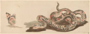 Zoology Prints: Snake and Butterfly, 1680s / 1690s. Creator: Workshop of Johann Teyler
