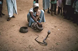 Snake charmer with cobra, in Sri Lanka