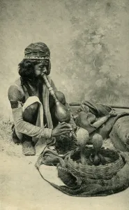 Snakes Prints: Snake Charmer. Creator: Unknown
