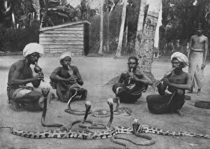 Alfred William Amandus Plate Gallery: Snake Charmers, c1890, (1910). Artist: Alfred William Amandus Plate
