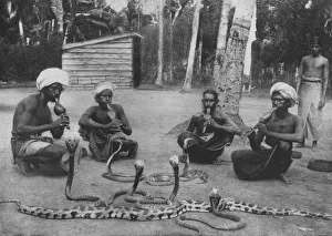Alfred William Amandus Prints: Snake Charmers, c1890, (1910). Artist: Alfred William Amandus Plate