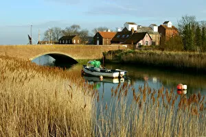 Reed Gallery: Snape, Suffolk