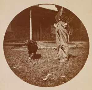 Back Yard Gallery: Snapshot: Dog and Man, ca. 1890. Creator: Unknown