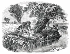Jackson M Prints: Sniggling for Eels - drawn by Duncan, 1850. Creator: M Jackson