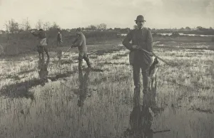 Snipe Prints: Snipe-Shooting, 1886. Creator: Peter Henry Emerson