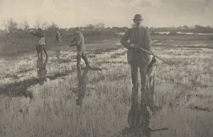 Fens Prints: Snipe-Shooting, 1886. Creators: Dr Peter Henry Emerson, Thomas Frederick Goodall