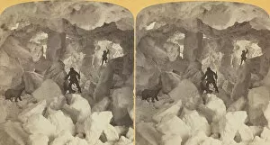 Bear Collection: Under the Snow, 1870 / 89. Creator: Henry Hamilton Bennett