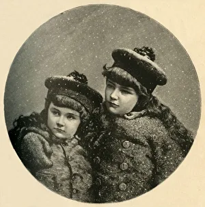Scribner Co Prints: The Snow-Birds Christmas-Tree, 1883. Creator: Unknown
