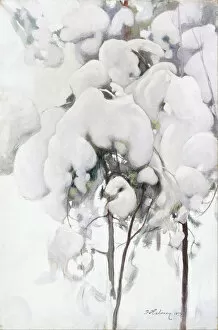 Coniferous Trees Gallery: Snow-Covered Pine Saplings. Artist: Halonen, Pekka (1865-1933)