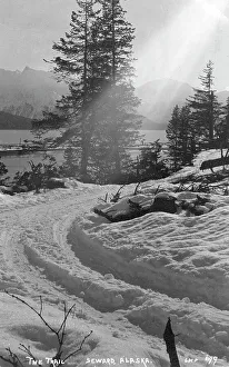 Alaska Prints: Snow covered trail, 1916. Creator: Unknown