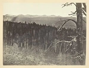 1870 Collection: Snow and Timber Line, Medicine Bow Mountain, 1868 / 69. Creator: Andrew Joseph Russell