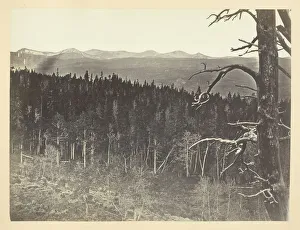 Andrew Joseph Russell Gallery: Snow and Timber Line, Medicine Bow Mountain, 1868 / 69. Creator: Andrew Joseph Russell