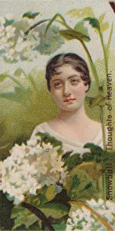 Duke W Sons Co Prints: Snowball: Thoughts of Heaven, from the series Floral Beauties and Language of Flowers