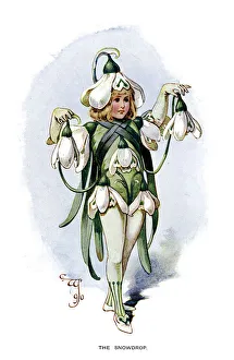 The Snowdrop, 1899