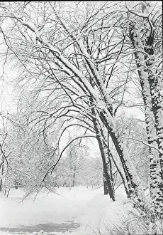 Berlin Germany Prints: Snowscape, Berlin, 1888 / 92. Creator: Alfred Stieglitz
