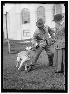 Society Circus, between 1910 and 1917. Creator: Harris & Ewing. Society Circus, between 1910 and 1917. Creator: Harris & Ewing