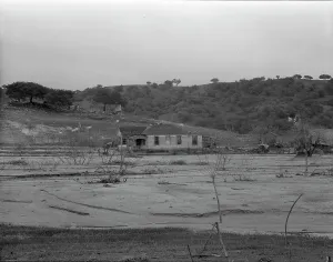 Conservation Prints: Soil erosion at Arroyo Grande, California, 1936. Creator: Dorothea Lange