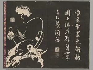 Book Cover Gallery: Soken sekisatsu, 1767. Creator: Ito Jakuchu