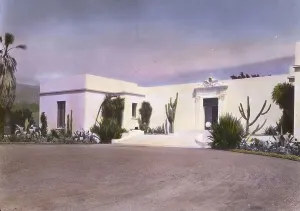 Cactus Prints: Solana, Frederick Forrest Peabody house