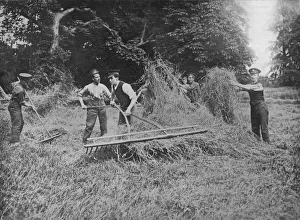 John Heywood Prints: Soldiers assisting the farmers by getting in the hay, 1915