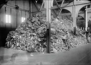 Soldiers bags astray, 1919. Creator: Bain News Service