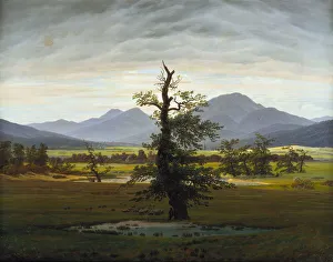 Solitary Tree (Village Landscape in Morning Light), 1822. Artist: Friedrich, Caspar David (1774-1840) Solitary Tree (Village Landscape in Morning Light), 1822. Artist: Friedrich, Caspar David (1774-1840)
