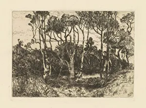 Copse Prints: Solitude, 1880. Creator: Mary Nimmo Moran